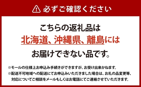  プレミアム シャインマスカット 晴王 2房 約1.4kg 種無し  皮ごと食べる  フレッシュ  旬の美味しさ【2026年9月上旬-10月下旬 発送予定】【シャインマスカット マスカット ぶどう 葡