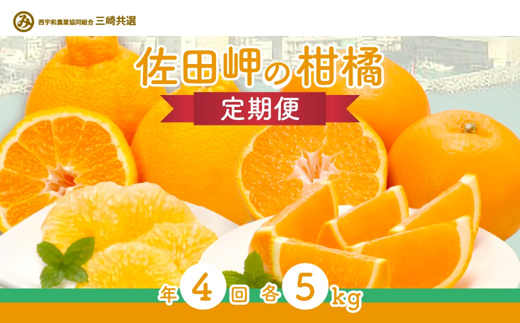 【定期便】2025年度 佐田岬の柑橘定期便（年4回）柑橘 定期 各5kg 愛媛県産（12月、2月、4月、6月発送）※離島への配送不可 IKTBD018