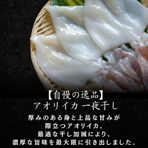 【伊豆漁協加工・直送！】アオリイカ 一夜干し 10枚　【 イカ 】