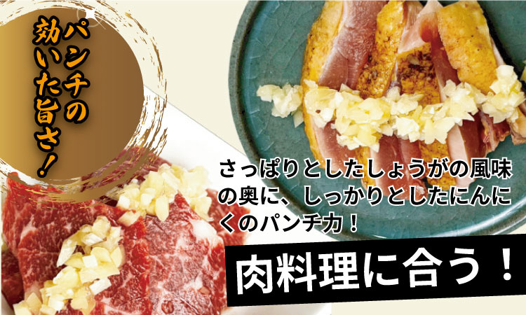 万能 薬味 調味料 「刻んだしょうがとにんにく少々 80g 」（10袋）佐賀の キムチ屋 乃市商店 肉料理 納豆 そうめん の薬味 パスタ ステーキ 焼肉のタレ 馬刺し 地鶏のたたき 冷奴 ほかほかご