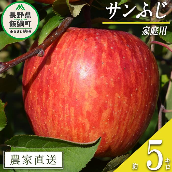 【ふるさと納税】 りんご サンふじ 家庭用 5kg マルカズりんご農園 沖縄県への配送不可 令和7年度収穫分 長野県 飯綱町 〔 信州 果物 フルーツ リンゴ 林檎 長野 14000円 予約 農家直送 〕発送時期：2025年11月下旬〜2025年12月下旬