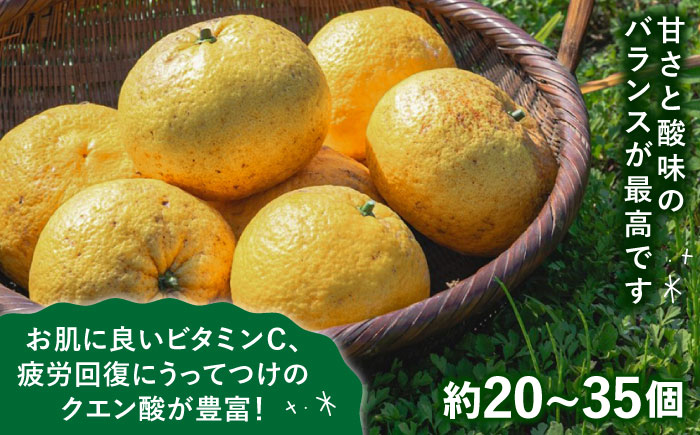 【先行予約】【有機栽培】甘夏 10kg【2025年4月中旬以降順次発送】糸島市 / わかまつ農園 [AHB016]