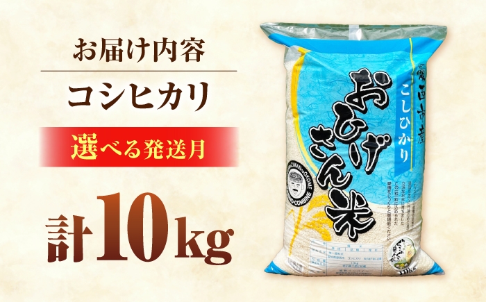 お米 10kg 10キロ 白米 精米 愛知県産 国産米 コシヒカリ 国産