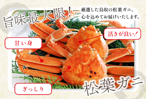 【蒸し】ご自宅用松葉ガニ　大　２枚