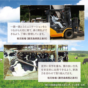 種子島3.6牛乳と種子島バターのセット（Ａ）　330pt　NFN247
