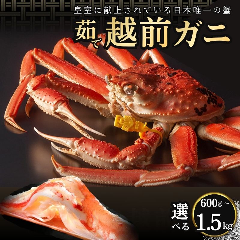 【ふるさと納税】越前ガニ ボイル 1杯 選べる 600g〜1.5kg 茹で 越前がに 越前かに ずわいがに ズワイガニ かに カニ 蟹 姿 期間限定 日本海 お歳暮 ギフト 福井県 若狭町　お届け：2026年11月10日～2027年3月31日（年末年始を除く）