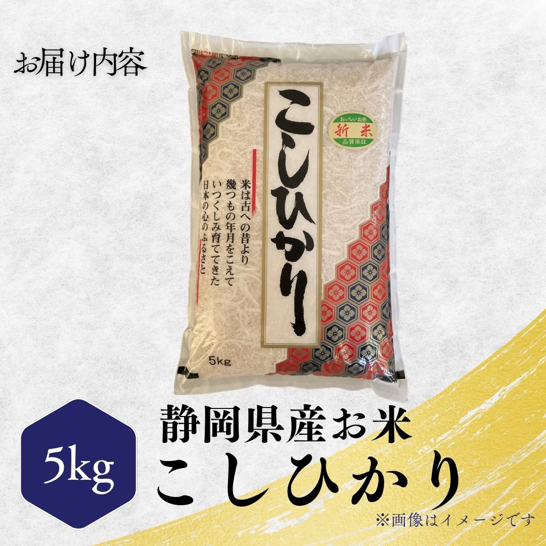 2B5 令和7年度産 新米コシヒカリ 5kg