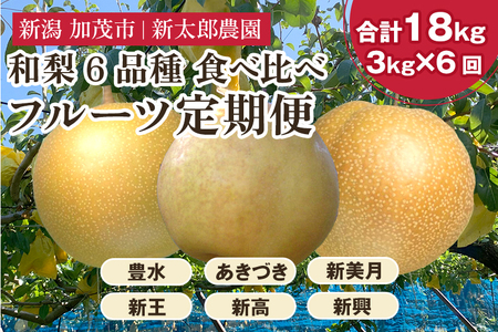 【2025年先行予約】【30セット限定】 旬の和梨 年6回定期便 和梨6品種食べ比べ （豊水・あきづき・新美月・新王・新高・新興） 各3kg 合計18kg《9月中旬から順次発送》 旬の和梨をお届け 頒