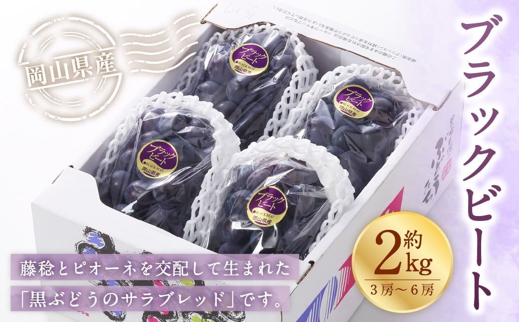 
                  岡山県産 ブラックビート 約2kg （ 3房～6房 ） ぶどう ブドウ 葡萄 くだもの 果物 果実 フルーツ 国産 黒ぶどう 【 2026年8月上旬～9月上旬発送予定 】
                
