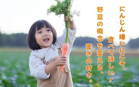 にんじん 3㎏ 人参 野菜 | 石川県 小松市 JAあぐり