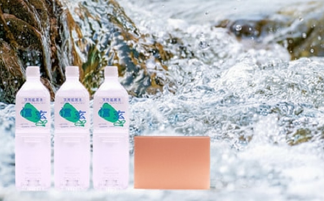 【12ヶ月定期便】天然鉱泉水「信玄」ナチュラルミネラルウォーター