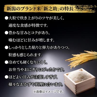 ふるさと納税 南魚沼市 【令和7年産】南魚沼産 新之助5kg 新潟県南魚沼市 |  | 03