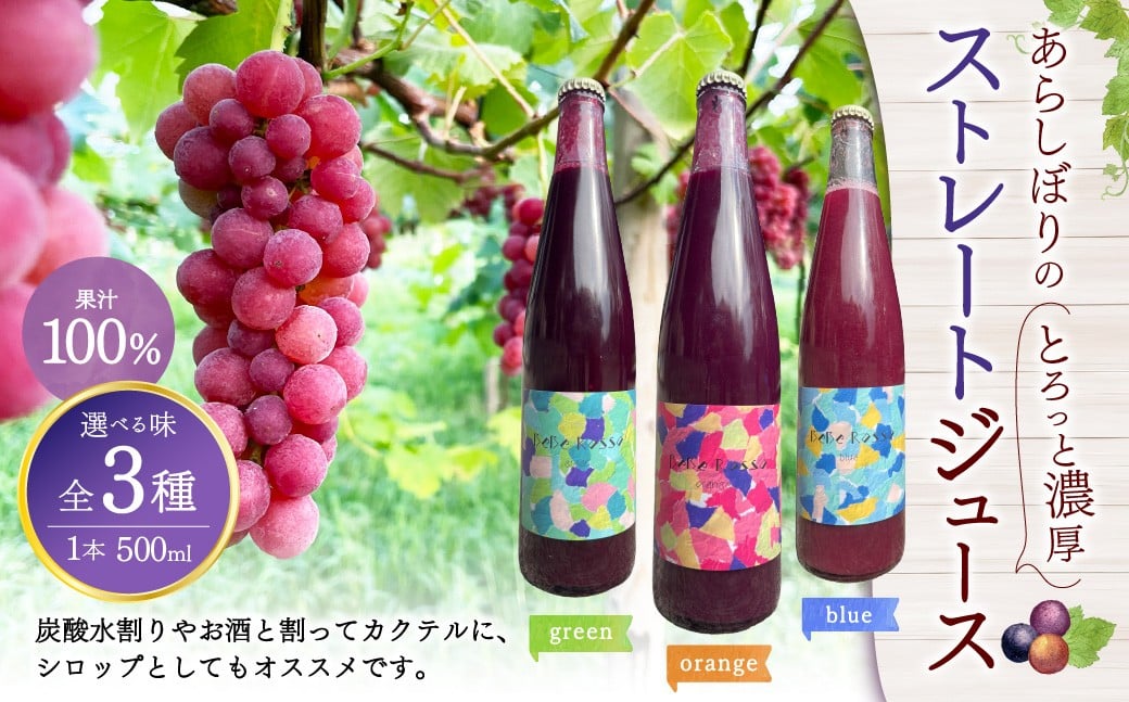 
                  【選べるお味】あらしぼりのとろっと濃厚、ストレートジュース 果汁100% 1本（500ml）《blue》《orange》《green》 
                