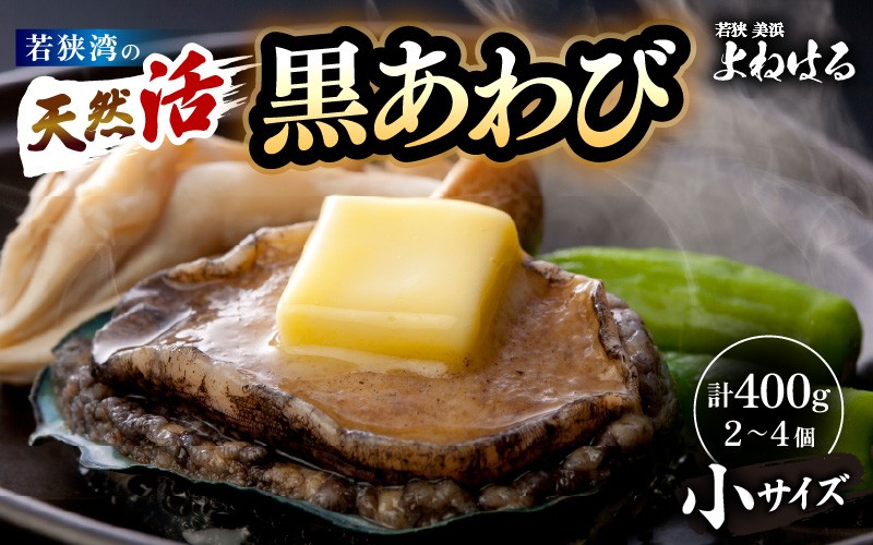 
日本海若狭湾の 天然 活黒アワビ 計400g (2～4個) 小サイズ 鮮度抜群 刺身 お造り バター焼き BBQ 入手困難 あわび アワビ 鮑 クロアワビ 黒あわび【2024年10月中旬まで発送】[m17-d005]
