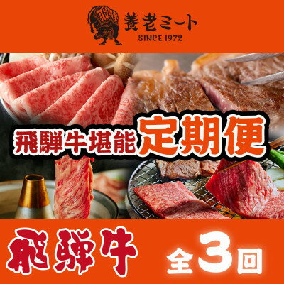 【ふるさと納税】【毎月定期便】月替わりで色々な飛騨牛を楽しめる全3回_ 飛騨牛 牛肉 定期便 肉 黒毛和牛 国産牛 ブランド牛 霜降り ステーキ すきやき すき焼き しゃぶしゃぶ 牛 にく ロース モモ カタ 贈答 ギフト プレゼント 自宅用 【配送不可地域：離島】【4051413】