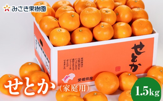 【先行受付】【家庭用】せとか1.5kg【A21-54】YWTBC035
