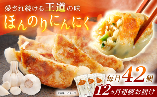 【全12回定期便】【3パック】餃子屋ヒロの ほんのりにんにく餃子【餃子屋ヒロ】開成町 餃子 点心 惣菜 冷凍 [BDAS015]