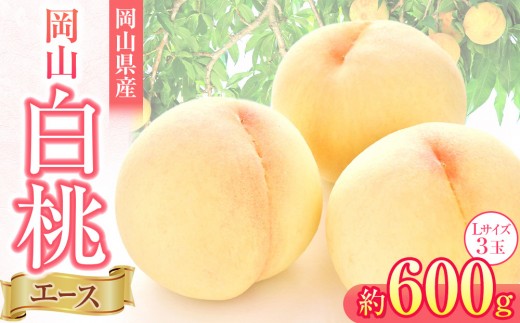 
                  岡山県産 桃 岡山白桃 2026年 エース 3玉×約200g 計600g Lサイズ 【白桃 桃 もも 果物 フルーツ 新鮮 岡山県産 おすすめ 人気 ギフト 岡山県 岡山市】
                