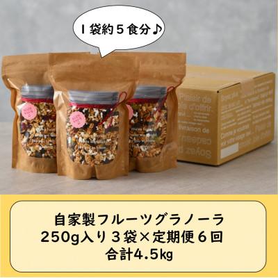 ふるさと納税 あわら市 【毎月定期便】自家製 フルーツグラノーラ 250g×3袋 750g(計4.5kg)全6回 |  | 03