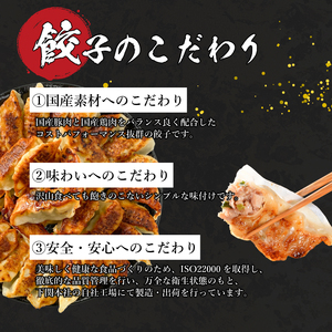 訳あり 国産肉の得々餃子 240個 定期便 隔月3回 餃子 ギョウザ IB