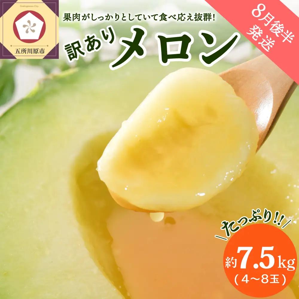 【8月後半発送】 青肉 メロン (訳あり) 約7.5kg 4～8玉 青森産 メロン