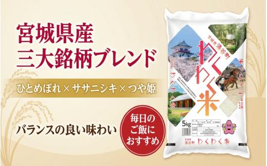 宮城県産 米 5kg お米 こめ コメ ライス ご飯 ごはん ブレンド米 白米 三大銘柄（ひとめぼれ ササニシキ つや姫）国産 お取り寄せ【araseki001】