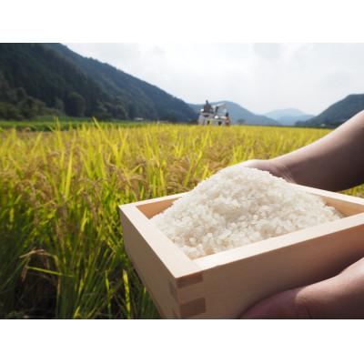 ふるさと納税 能勢町 [令和7年度産]高齢者の田んぼを受け継ぐ若手後継者「塚原さんのてんたかく」精米5kg |  | 01