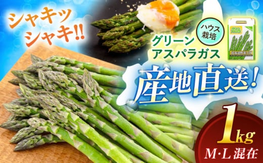 【2026年4月上旬以降順次発送】 グリーンアスパラガス 1kg （M・L混在/ハウス栽培） 《喜茂別町》【久保田農園】 アスパラ アスパラガス グリーンアスパラ 冷蔵 冷蔵配送 野菜 春野菜 季節の野菜 北海道 [AJAM006] 13000 13000円