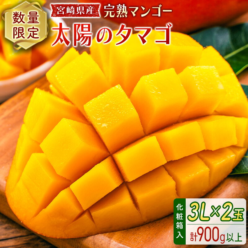 【ふるさと納税】数量限定 宮崎県産 完熟マンゴー＜太陽のタマゴ＞3L×2玉 計900g以上 ※2027年4月下旬配送開始 化粧箱入 フルーツ くだもの
