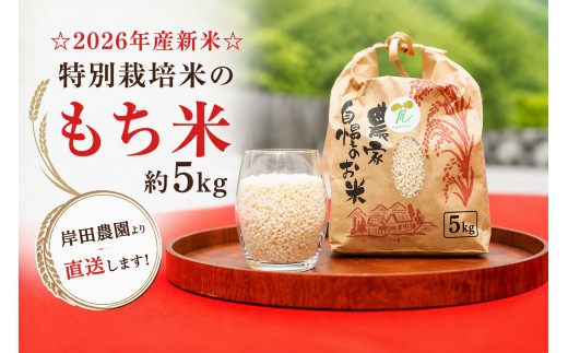 【11月中旬以降発送】☆2026年産新米☆特別栽培米のもち米約5kg　岸田農園より直送します！