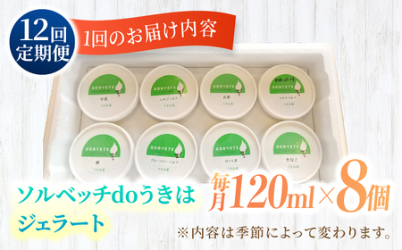 【12回定期便】果樹園が作る 素材の味を楽しめる 旬のジェラート 120ml×8個セット【ソルベッチdoうきは】着色料不使用 ノンホモ牛乳使用 ジェラート アイス 旬 スイーツ 詰め合わせ セット シ