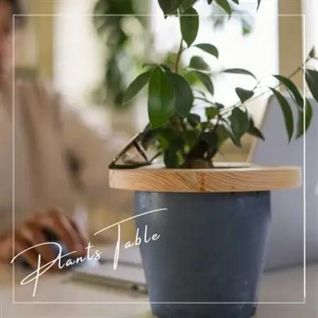 長野県の職人が作成する観葉植物用のテーブル スモールサイズ(20cm)【1549392】
