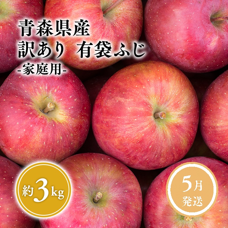 5月発送【訳あり】家庭用有袋ふじ約3kg クール便【原田青果】りんご 林檎 リンゴ 果物 くだもの フルーツ 不揃い 規格外