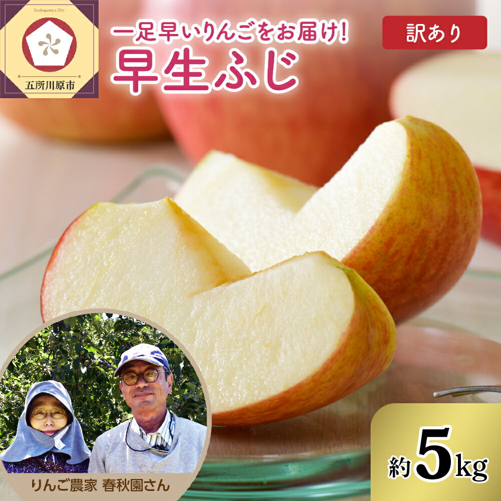 【ふるさと納税】《 先行予約 2025年10月上旬発送》【 訳あり 】 早生ふじ 5kg / 青森 家庭用 規格外 不揃い りんご 林檎 フルーツ 果物 くだもの 秋 旬 常温保存 青森県 五所川原市