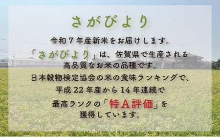 令和7年産 さがびより 10kg×3回定期便 ／米 お米 返礼品 飯 ごはん 弁当 銘柄米 白米 県産米 佐賀県産 国産米 精米 ブランド米 おにぎり 国産 食品 人気 おすすめ ふるさと納税米 新米
