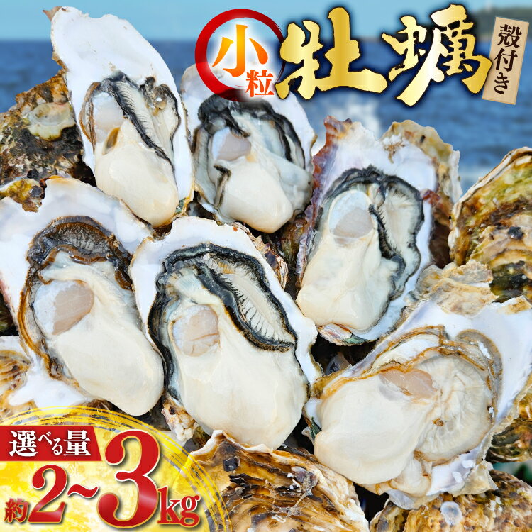 【ふるさと納税】 【期間限定発送】 牡蠣 小粒 1〜1年半モノ 生食 殻付き牡蠣 【選べる内容量】 [住喜水産 宮城県 気仙沼市 20565057] 冷蔵 新鮮 濃厚 真牡蠣 カキ かき 生牡蠣 魚貝類 貝 海鮮 魚介類 なべ カキフライ 牡蠣ご飯 魚介 2kg 3kg