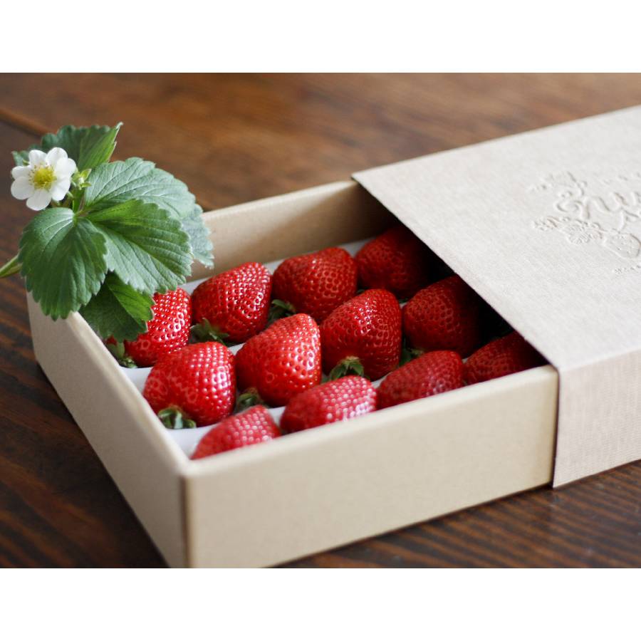 ＜いちご農家西岡農園＞勝占いちご15粒【定期便4回】2026年1月開始