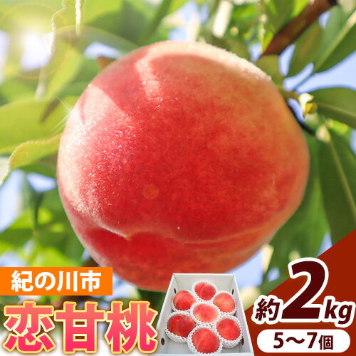 【ふるさと納税】恋甘桃 約2kg 約2kg (5-7個) 木村農園《6月上旬‐7月中旬頃出荷》和歌山県 紀の川市 桃 もも 果物 フルーツ