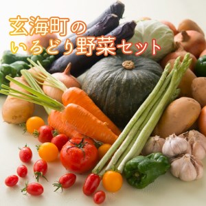 いろどり野菜セット【A049】