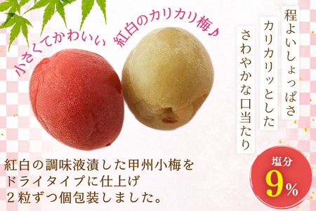 【やばいだろ】粋な小梅 2粒×30 計60粒 カリカリ梅干し 国産 個包装