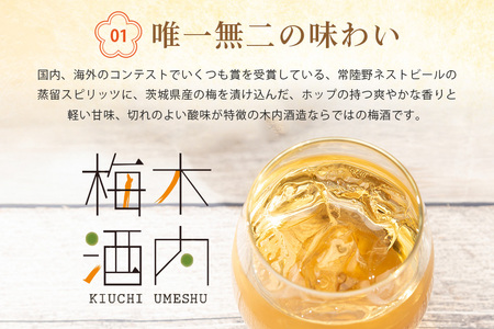 木内梅酒 3本セット 500ml×3本 果実酒 ウメ 人気 お土産 ギフト フルーティー 内祝い ご褒美 国産 紀州南高梅使用 お歳暮 お歳暮ギフト プレゼント お中元 敬老の日 御歳暮 うめ酒 梅酒