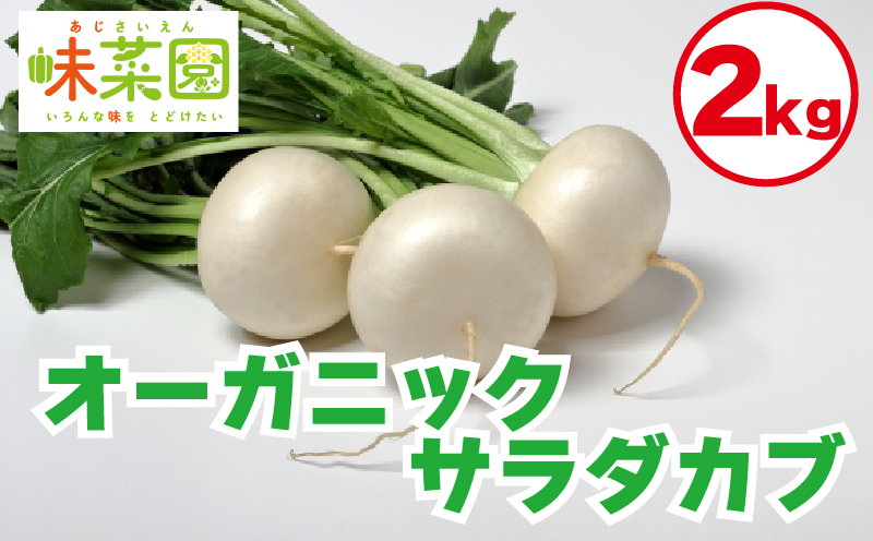 オーガニックサラダカブ 2kg 有機野菜 サラダ 野菜 無添加 有機 JAS認証 ヴィーガン 常備菜 副菜