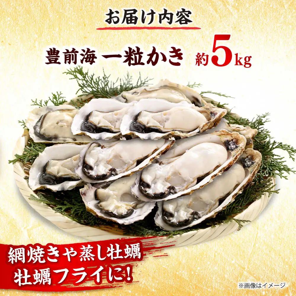 【先行予約】 豊前海 一粒かき 約5kg[BGBD003]牡蠣