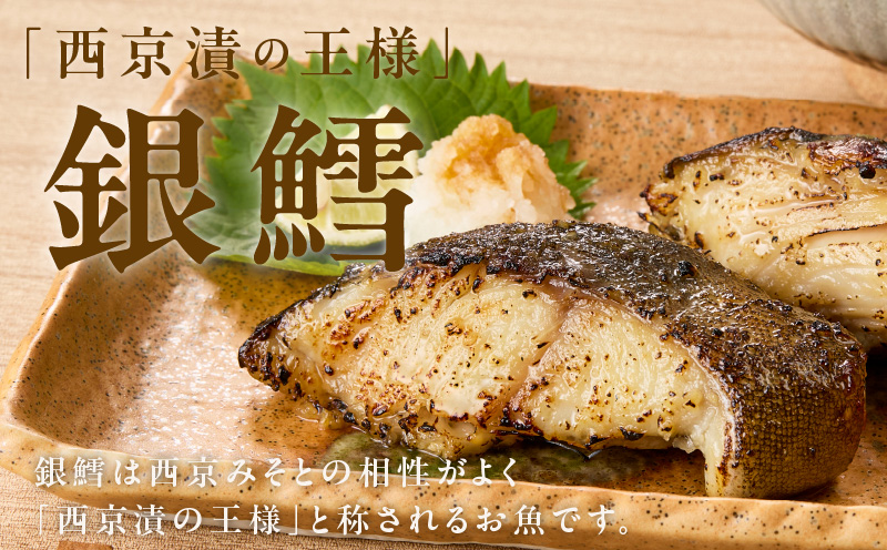【分けて届く定期便】銀鱈 西京漬け 80g×10切れ【小分け 熟成 銀だら ぎんだら ギンダラ 海産物 魚 惣菜 西京焼き 味噌 訳あり サイズ不揃い 全2回】 kgpZ027