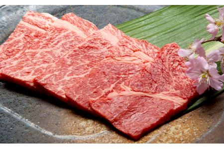 福岡県産 A5 博多 和牛 もも 赤身 焼肉用 600g(300g×2パック)  冷凍