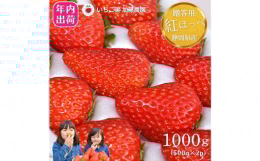 
            【先行予約受付中】【年内お届け！！贈答用】 静岡県産いちご 紅ほっぺ 500g×2パック（1パック12～15粒） 冷蔵配送【配送不可：北海道・沖縄・離島】 苺 フルーツ◇
          