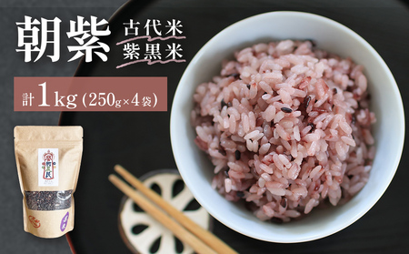 朝紫（古代米/ 紫黒米）250g×4（栽培期間中、農薬・化学肥料不使用）【こだわりの天日干し】