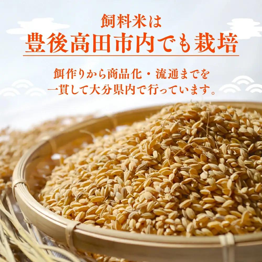 豊後・米仕上牛 カタ・ミスジ焼肉 計600g | 豊後高田市 ミスジ