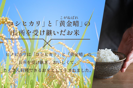 令和7年産 多良木町産 ヒノヒカリ 5kg  【 精米 お米 米 こめ ひのひかり ヒノヒカリ 白米 】 053-0508