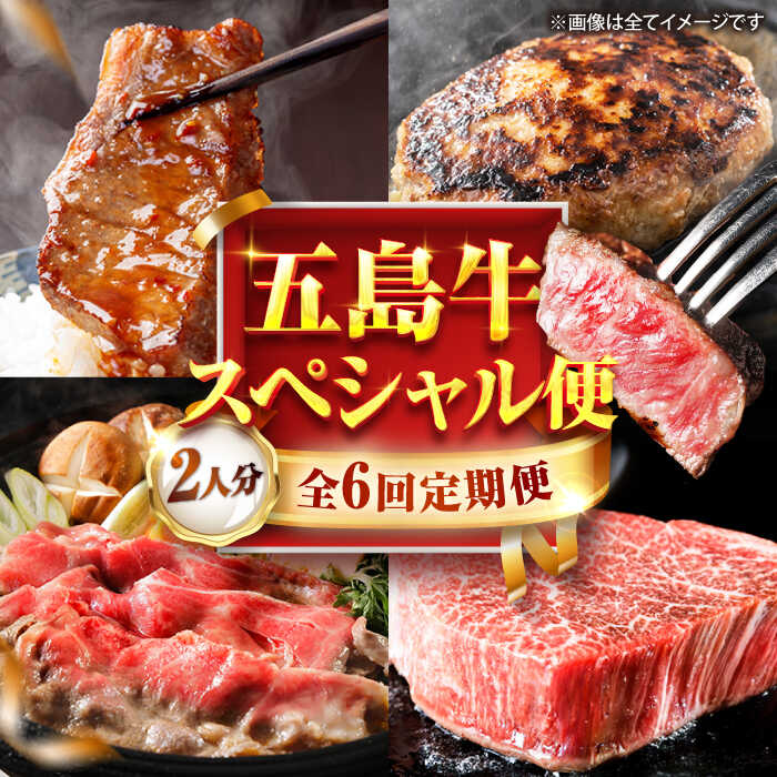 【ふるさと納税】【6回定期便】お届け内容が毎月変わる五島牛定期便（2名向け）五島市/ごとう農業協同組合[PAF103] 牛肉 和牛 五島列島 ステーキ すてーき ハンバーグ はんばーぐ 薄切り 焼き肉 焼肉